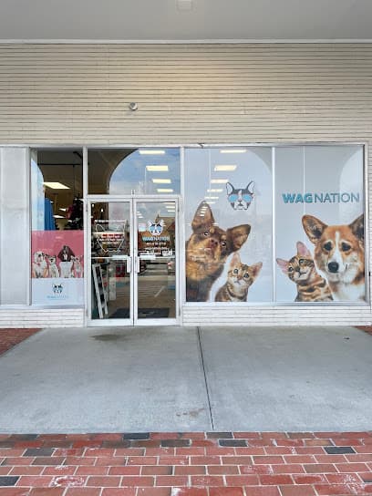 Wag Nation