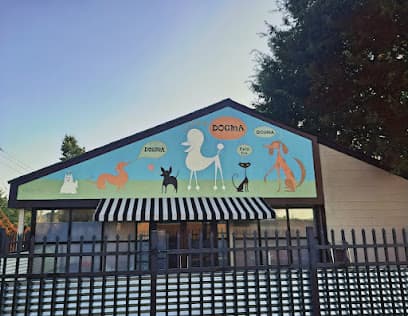 Dogma Grooming + Pet Needs