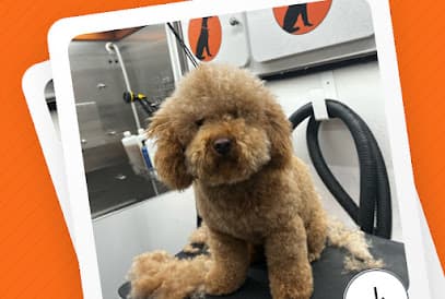 Furry Land Mobile Pet Grooming Cleveland + Akron + Canton + Surrounding Areas