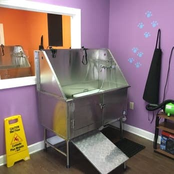 Livy’s Lavish Self Wash & Grooming