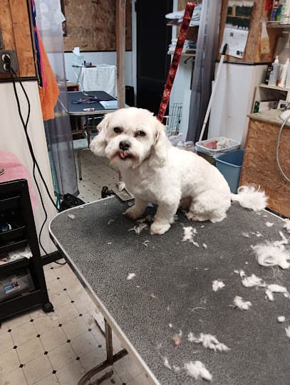 Pretty Paws Dog and Cat Grooming