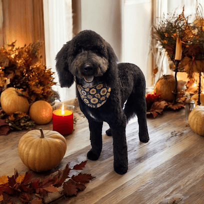 Ruff To Fluff Grooming LLC