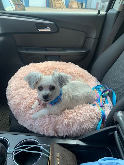 Fort Dog Spa