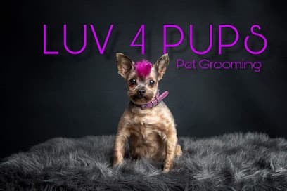 LUV 4 PUPS Pet Grooming