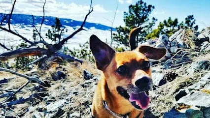 Mountain Mutts Salon