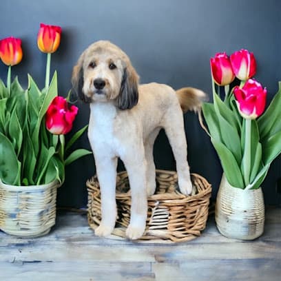 716 Pupworks LLC