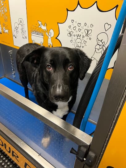 Wash Your Dog Self-Service Station