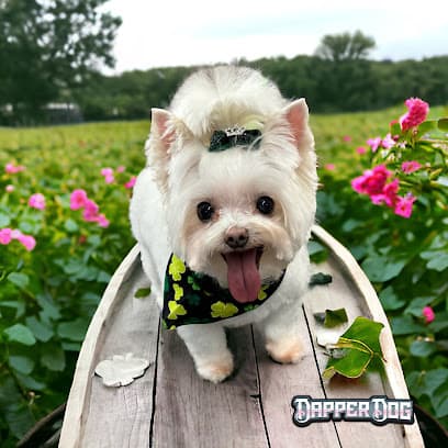 Dapper Dog,LLC
