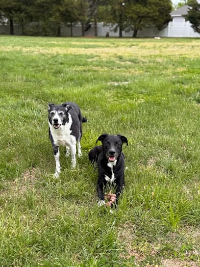 Sassy Paws LLC