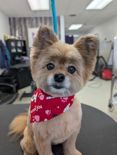 Once Upon A Dog LLC