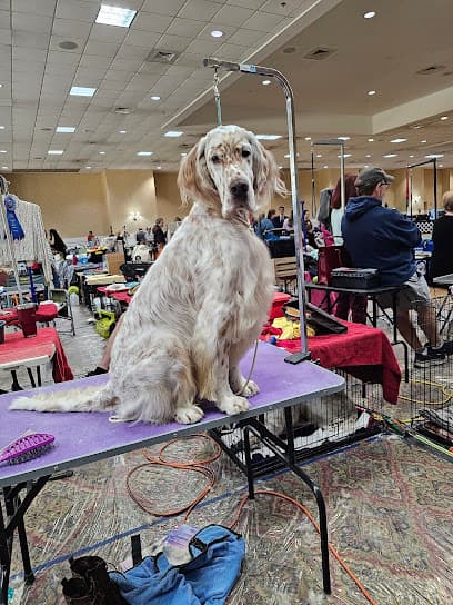 Finlayson's Pet Care Center