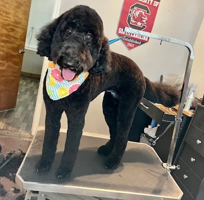 Happy Pets Salon & Spaw