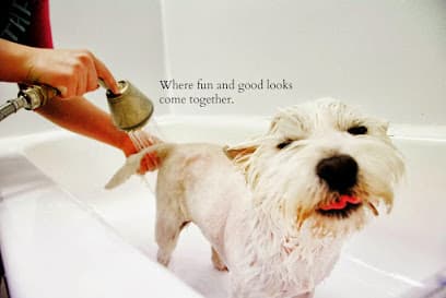 WashPaw