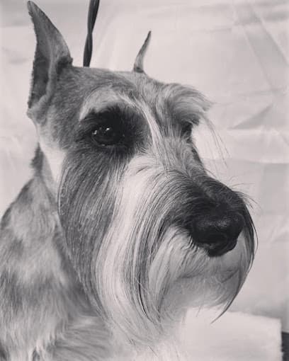 Pet Pros Grooming Inc.