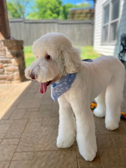 Mobile Pet Spaws, LLC