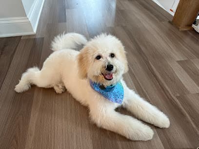 Woof Gang Bakery & Grooming Cary