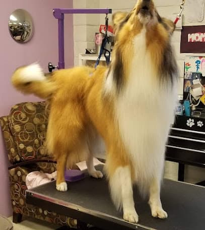 Wash Your Paws Pet Grooming