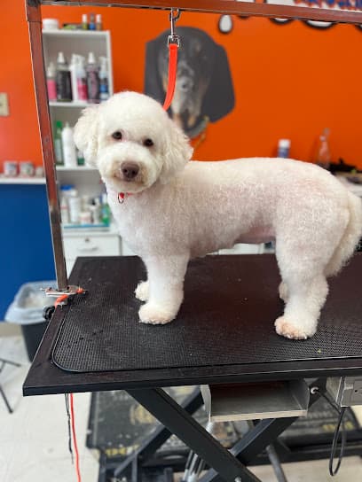Raw Dogs Grooming