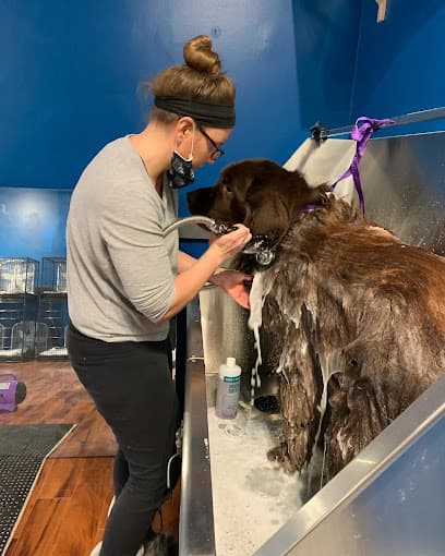 True Love Pet Care