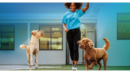 Pet Paradise Richmond Airport