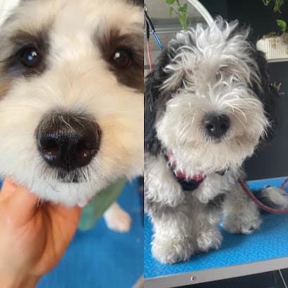 Happy Tails Spa