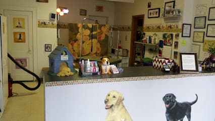 Soapy Dog Spa