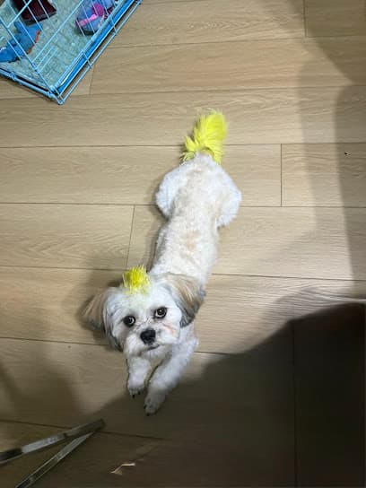 TidyDog Donelson