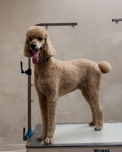 Floof Grooming Salon