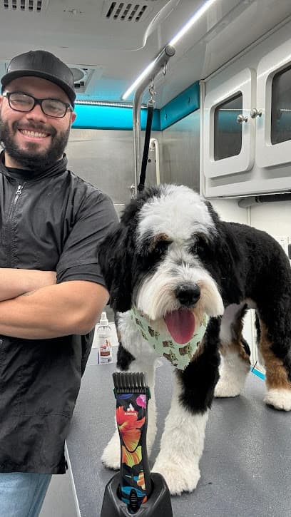 Rapawzel Dog Grooming & Day Care