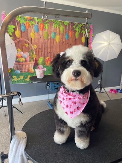 Exquisite Pet Grooming & Boarding