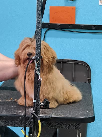 Top Dog Grooming LLC