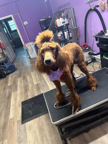 Four Paws & Claws Grooming Salon