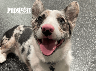 PupsPort Dog Daycare & Grooming