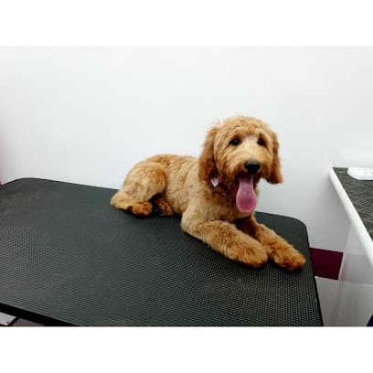 Samy's Pets Mobile Grooming