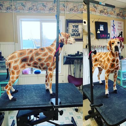Paws Up Pet Salon (PUPS) LLC