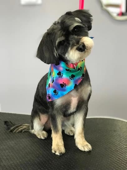 Pawsitively Perfect