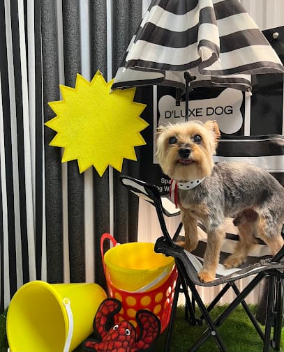 D'Luxe Dog Pet Concierge & Boutique