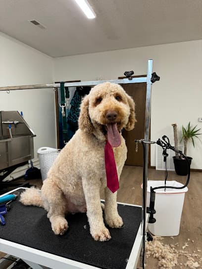 Barks and Bubbles Dog Grooming