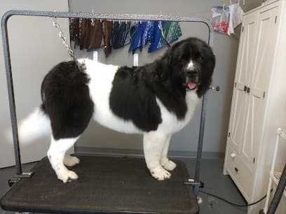 Diggity Dog