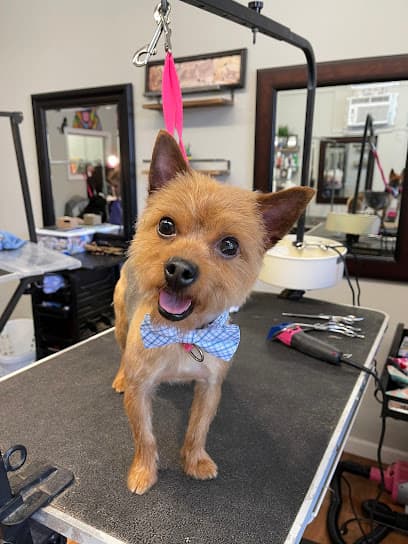 Courtney’s Pawfessional Grooming