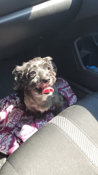 Bark Avenue Pet Salon