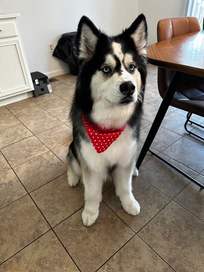Grooming Room LLC