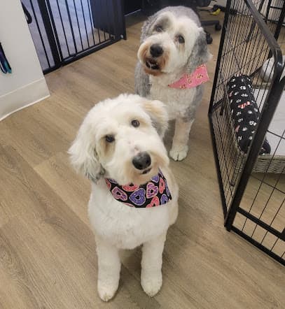 Pet Magic RVA