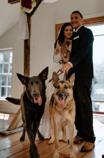 Groomingtales