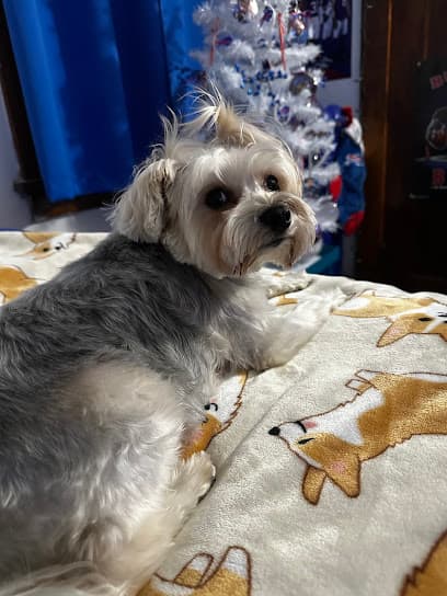 The Pet Parlor Buffalo LLC