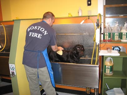 BYOD dog wash