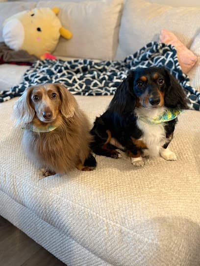 Doggone Pretty Inc