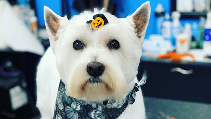 Bubbles and Barks Pet Salon