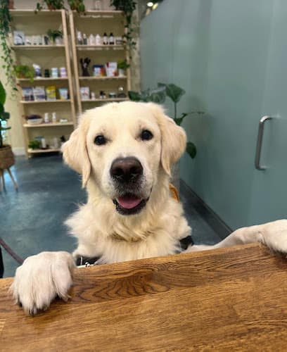 Happy Dog Baltimore & Spa