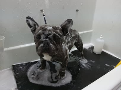The Pet Agree Grooming